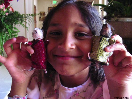 токсидермист-умелец