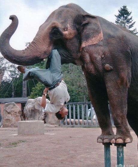 �������� �����