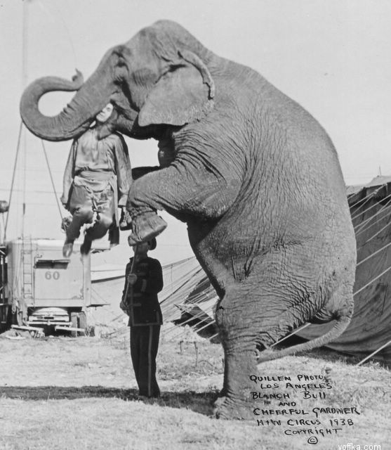 �������� �����