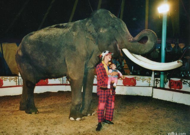 �������� �����