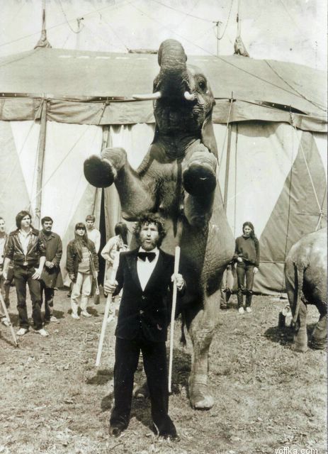 �������� �����