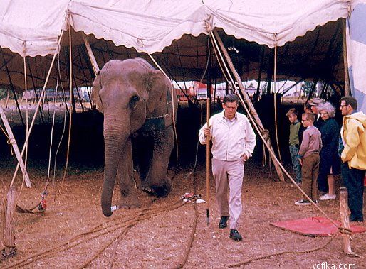 �������� �����