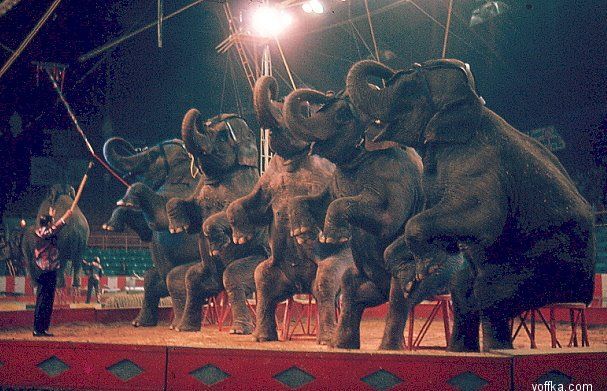 �������� �����