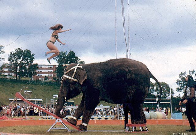 �������� �����