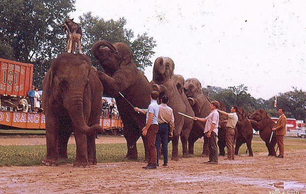 �������� �����