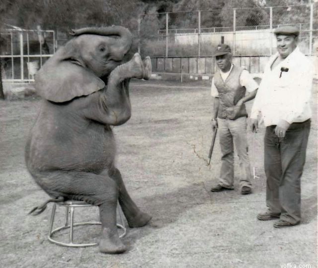 �������� �����