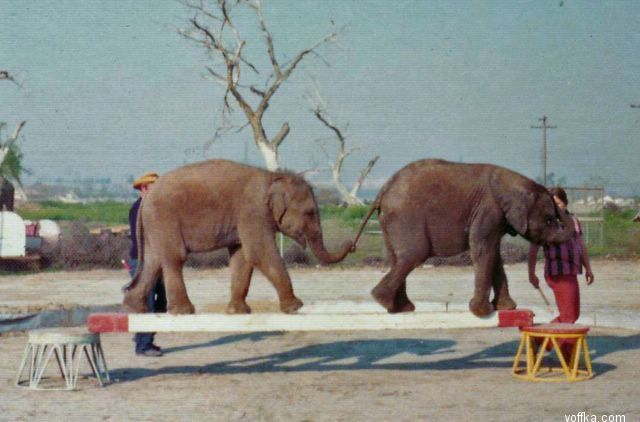 �������� �����