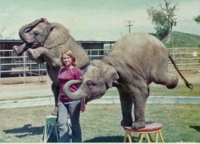 �������� �����