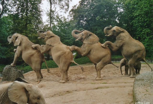 �������� �����