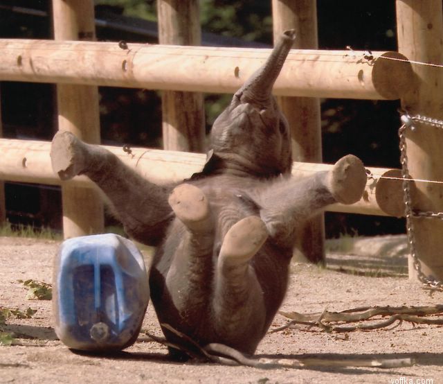 �������� �����