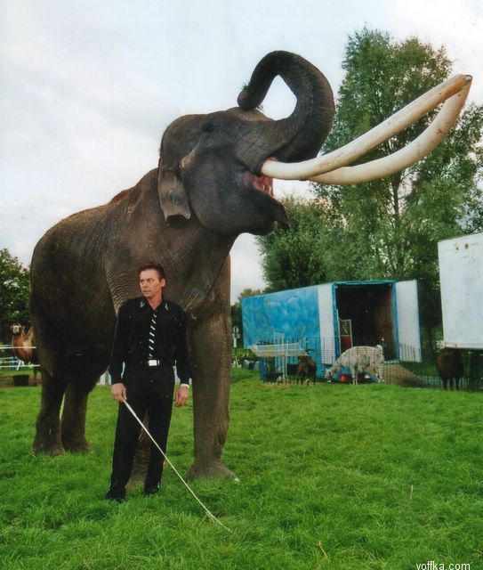 �������� �����