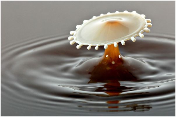 ���� � ������