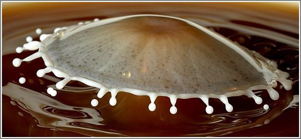 ���� � ������