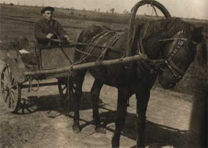 �������� � voffka.com