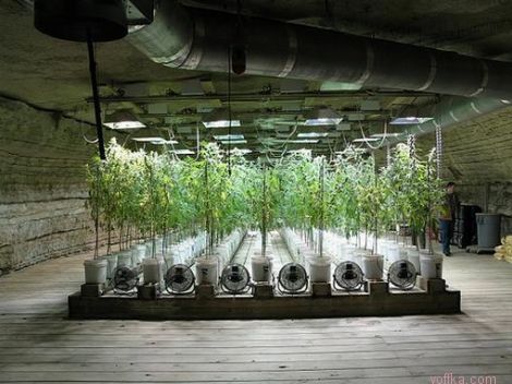 ������� �� ����������� ���������