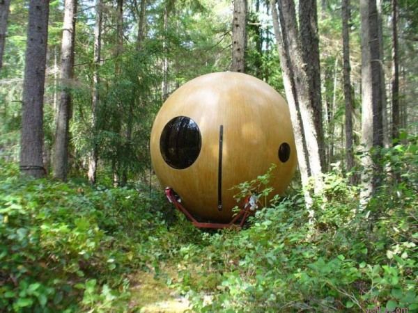 ����� �� ������