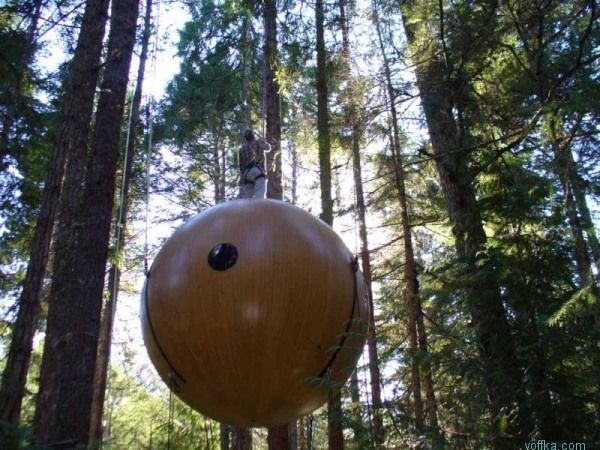 ����� �� ������