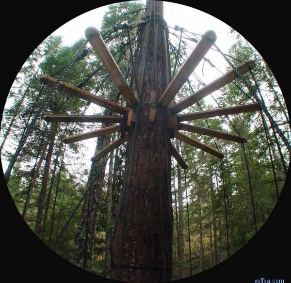 ����� �� ������