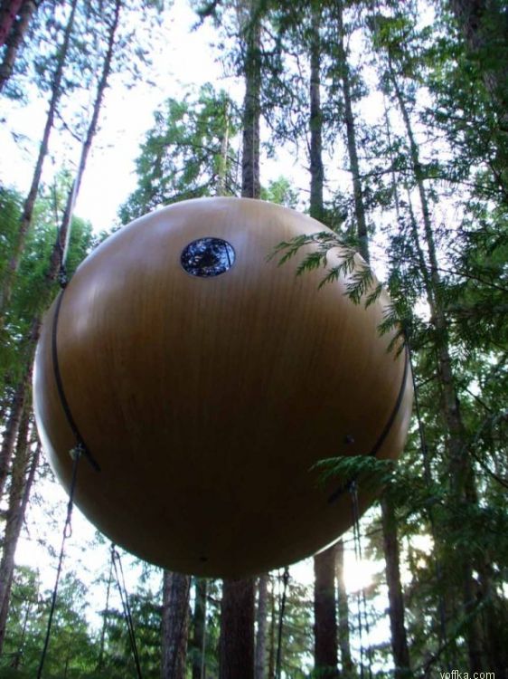 ����� �� ������