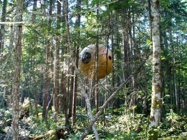 ����� �� ������