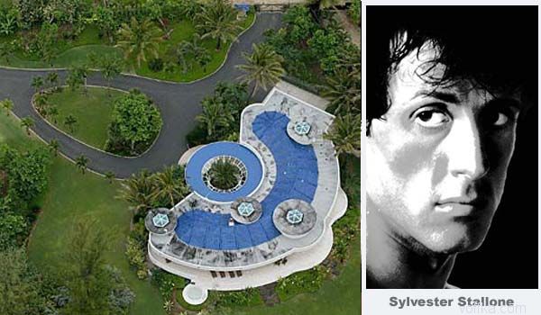 ���� �������������