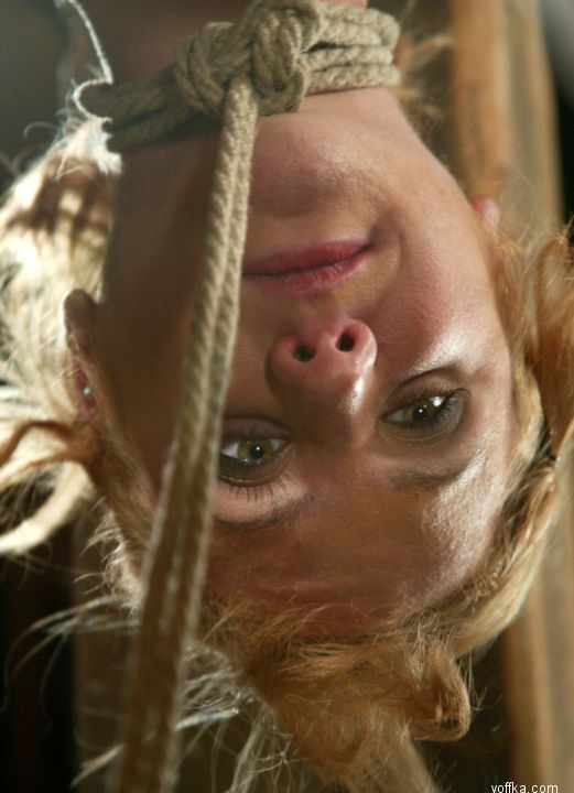 �������� �������