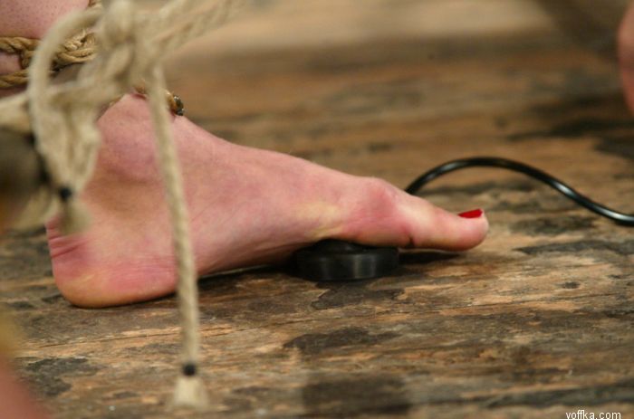 �������� �������