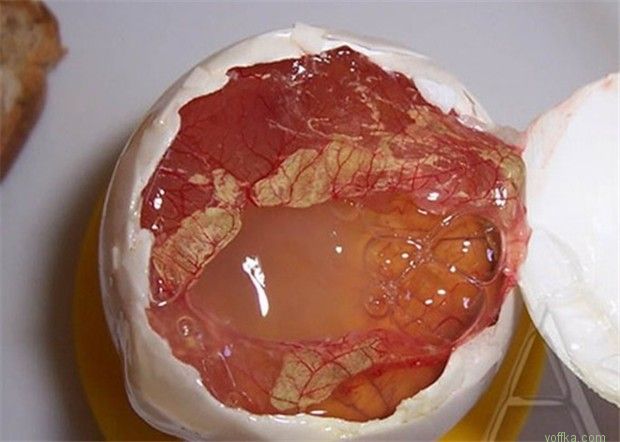 ����� �� �������