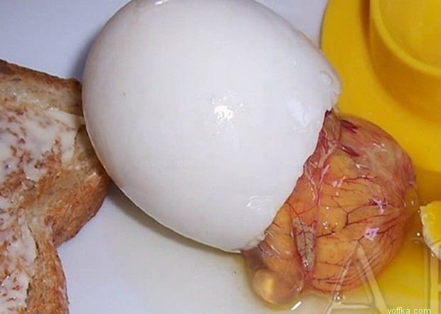 ����� �� �������