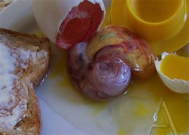 ����� �� �������