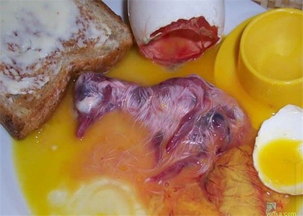 ����� �� �������