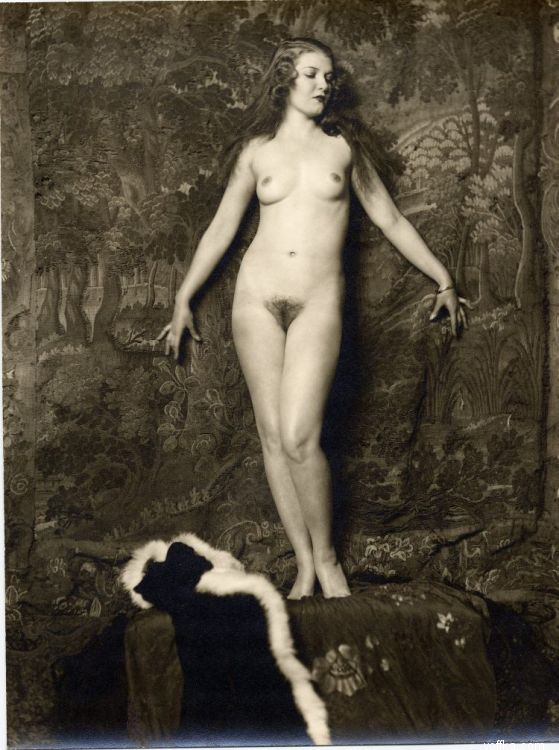 �����-�������