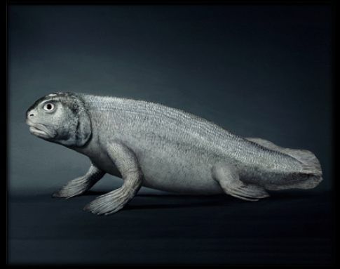 �������� :-)