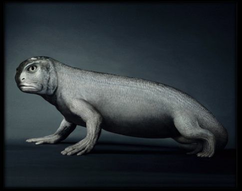 �������� :-)