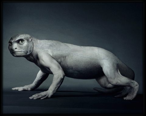 �������� :-)