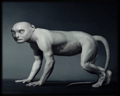 �������� :-)