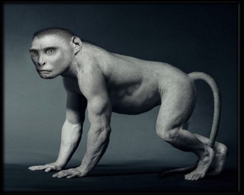 �������� :-)