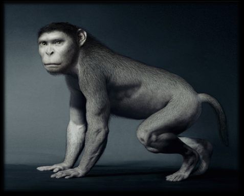 �������� :-)