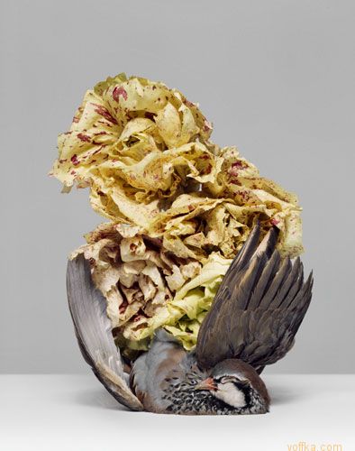 ������� �� ���