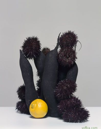 ������� �� ���