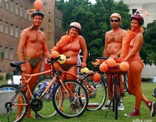 ���������� ���� 2006