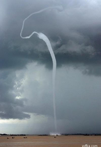 ���������� ���� 2006