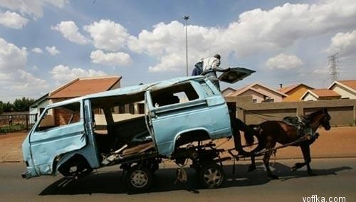 ���������� ���� 2006