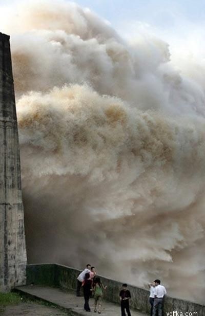 ���������� ���� 2006