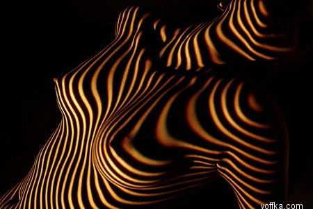 ���� �� ������