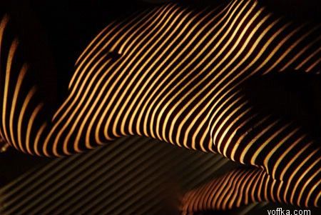 ���� �� ������