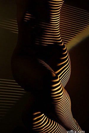 ���� �� ������