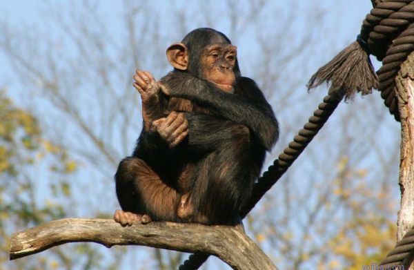 ������� �� ������ � ������ ������������..