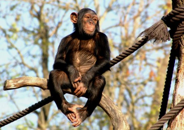 ������� �� ������ � ������ ������������..