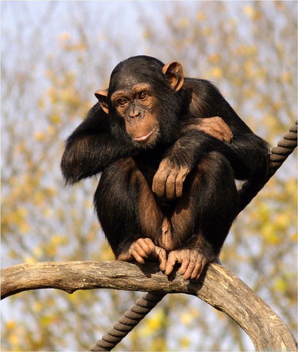 ������� �� ������ � ������ ������������..